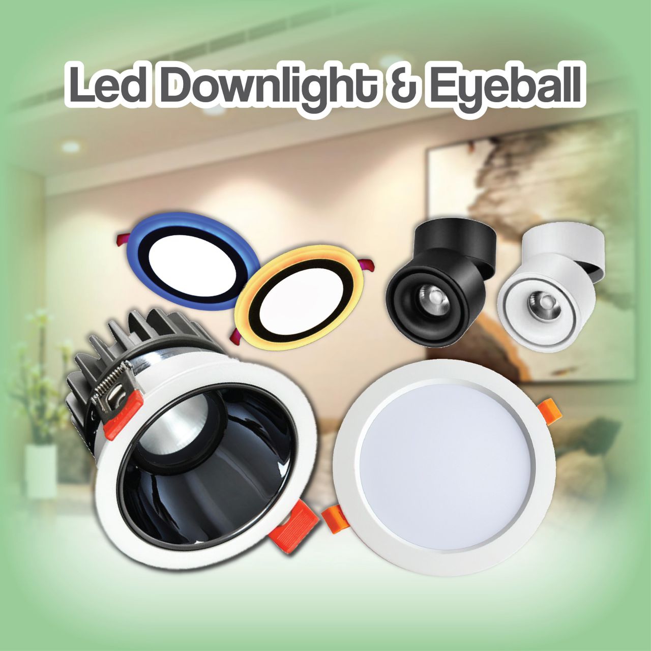 LED Downlight & Eyeball