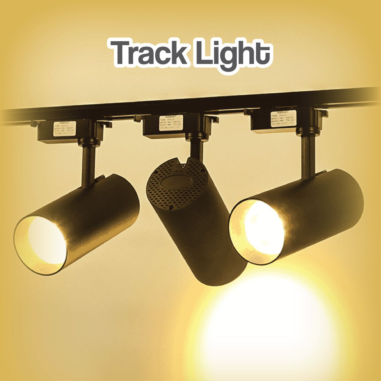 Track Light